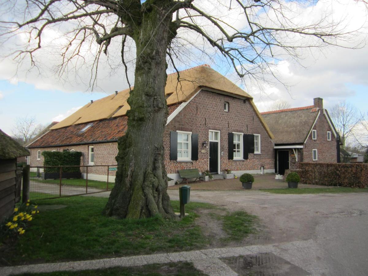 De Martiene Plats - Bed & Breakfast Merselo Zewnętrze zdjęcie