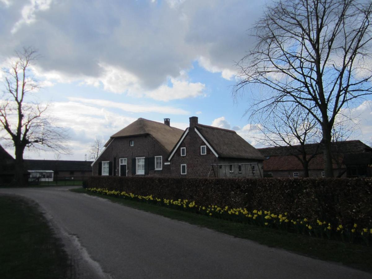 De Martiene Plats - Bed & Breakfast Merselo Zewnętrze zdjęcie