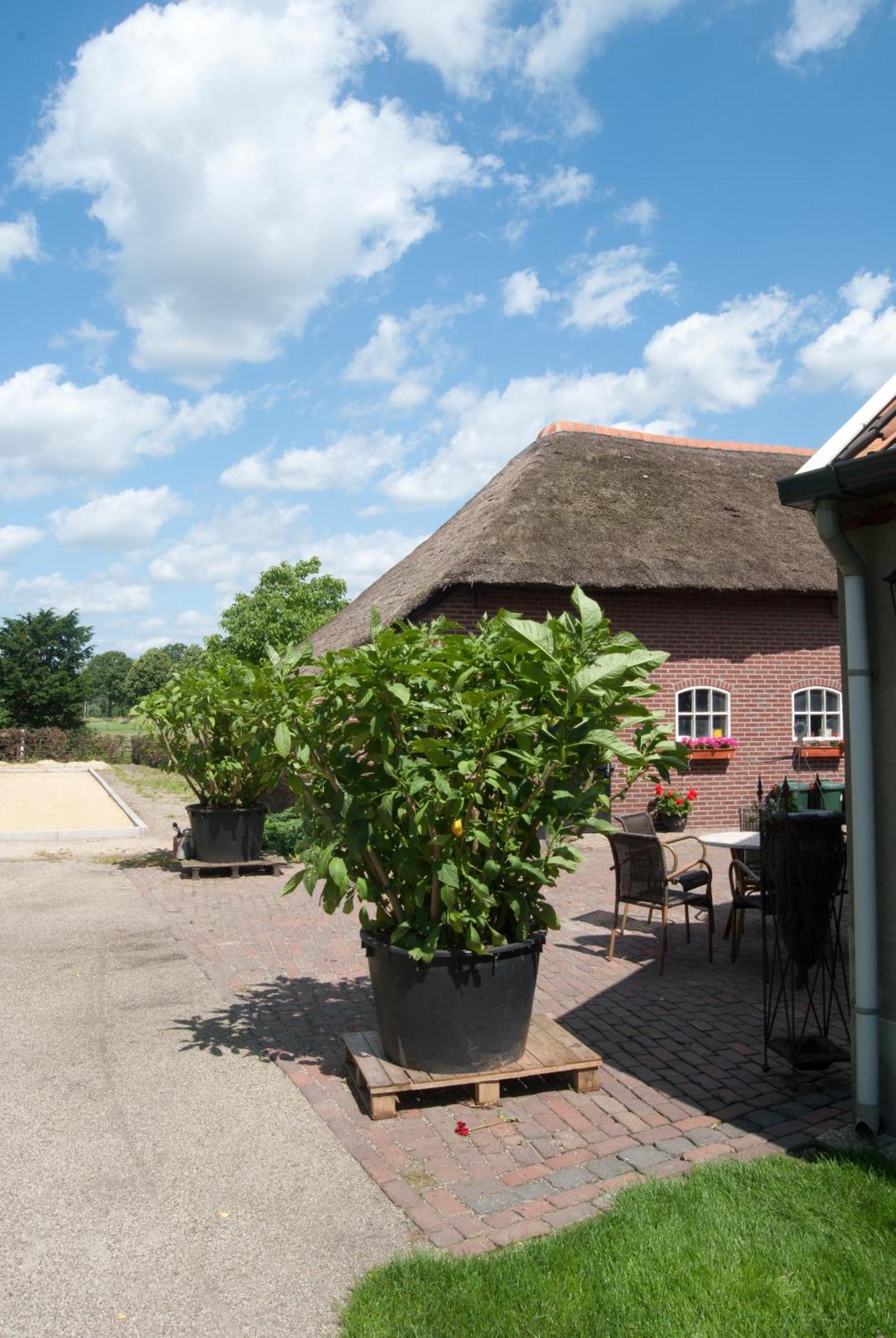 De Martiene Plats - Bed & Breakfast Merselo Zewnętrze zdjęcie