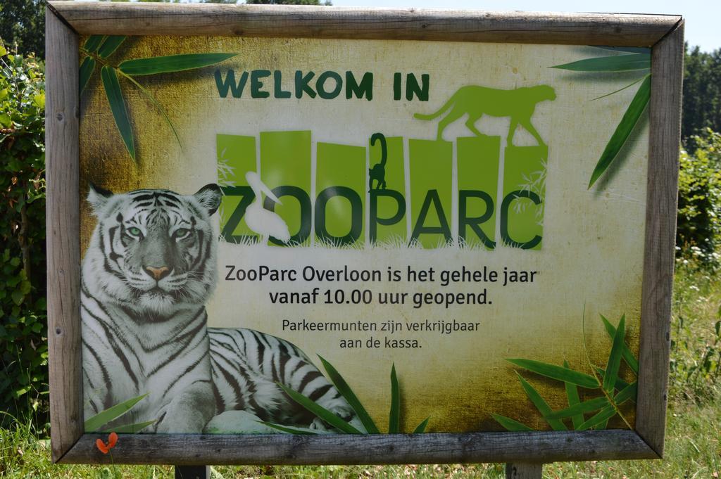 De Martiene Plats - Bed & Breakfast Merselo Zewnętrze zdjęcie